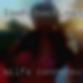 Milfs Connersville
