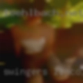 Swingers Lincolnton
