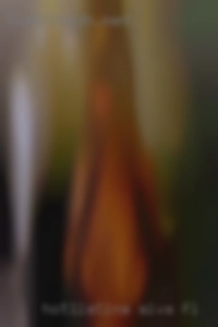 hot1latina Alva FL